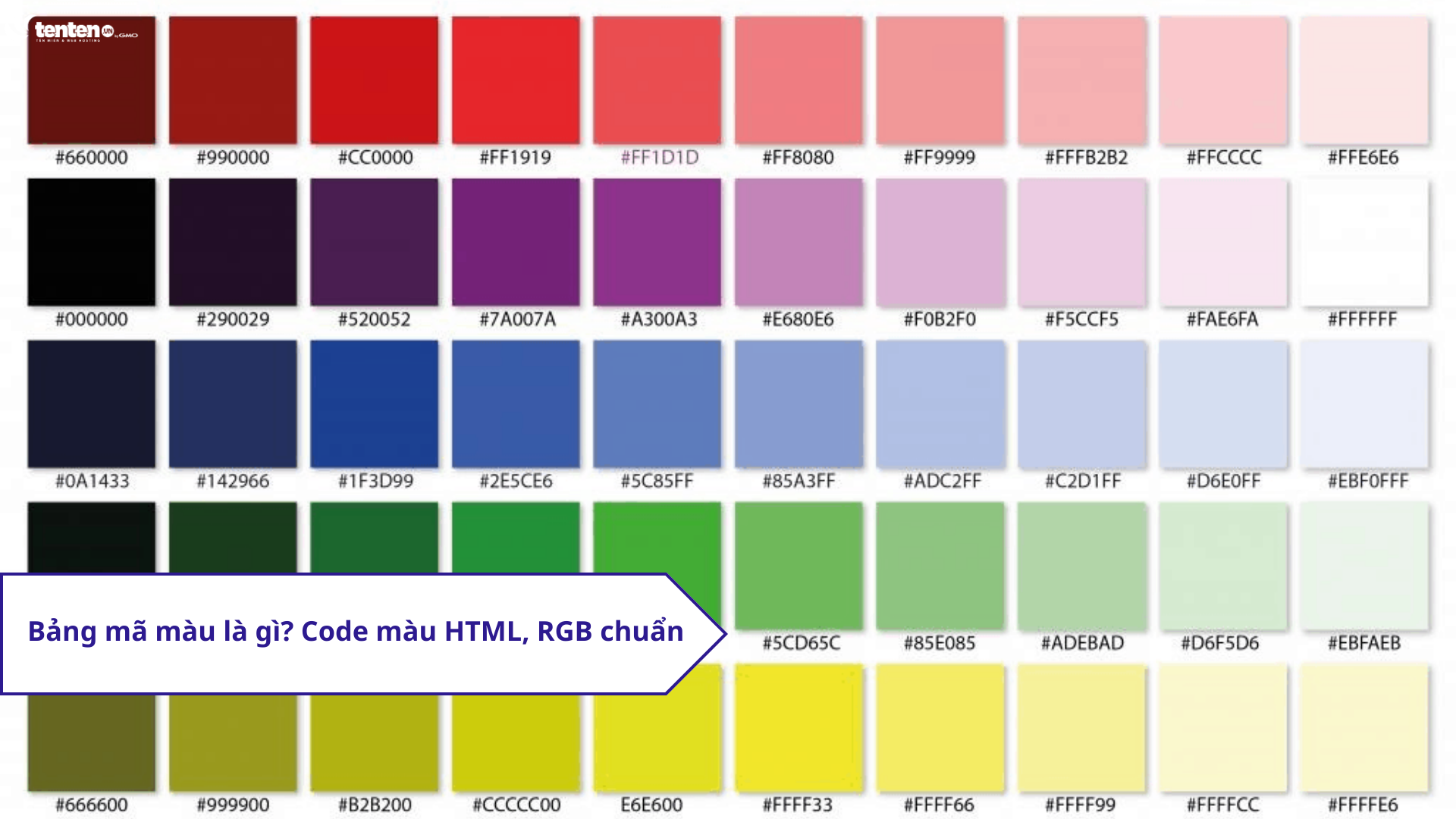 Bảng mã màu là gì? Code màu HTML, RGB chuẩn nhất