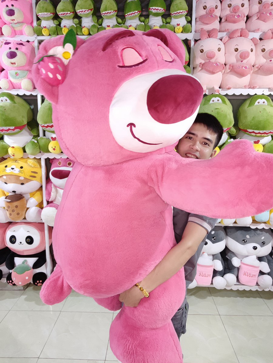 Gấu Dâu Lotso Khổng Lồ ở Cần Thơ | Gấu Bông Cần Thơ rẻ đẹp